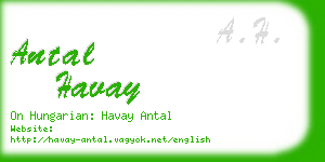 antal havay business card